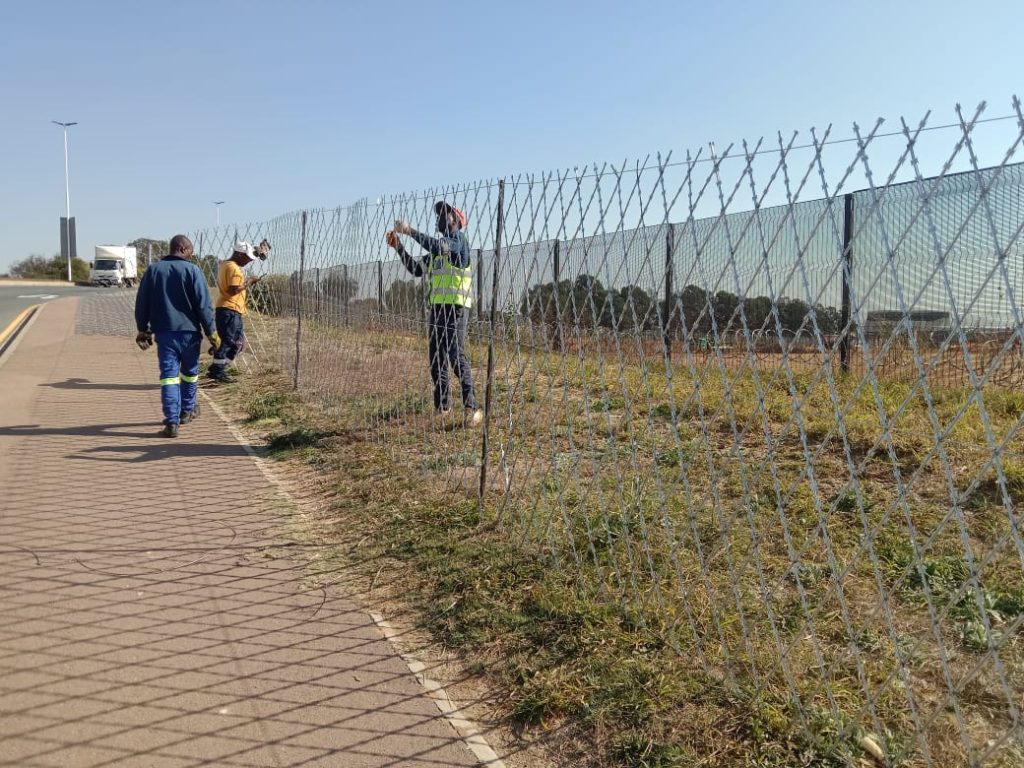 WhatsApp Image 2025-06-22 at 10.46.09 (1)