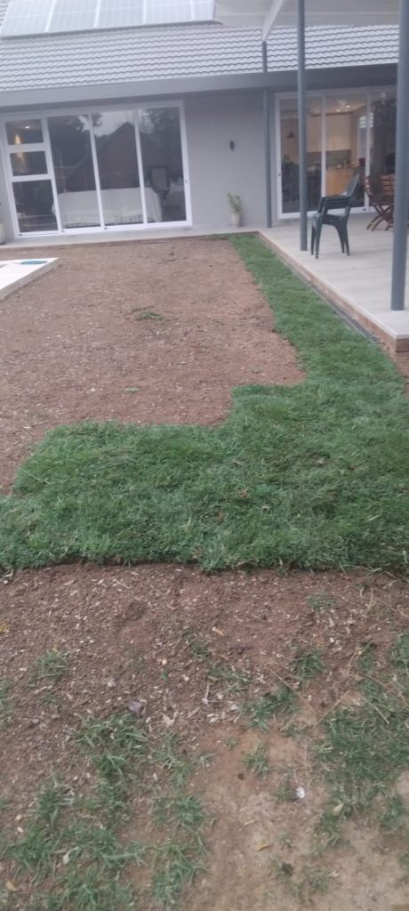 WhatsApp Image 2025-06-30 at 20.07.58