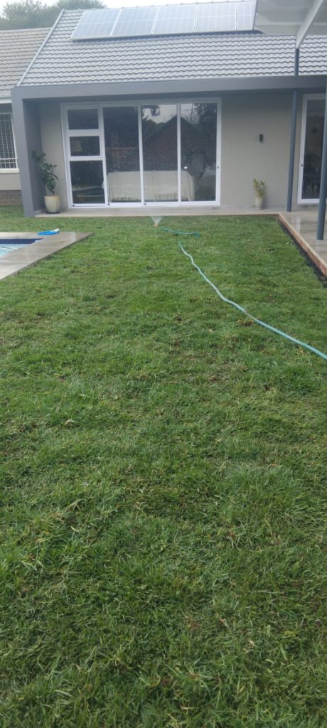 WhatsApp Image 2025-06-30 at 20.08.17