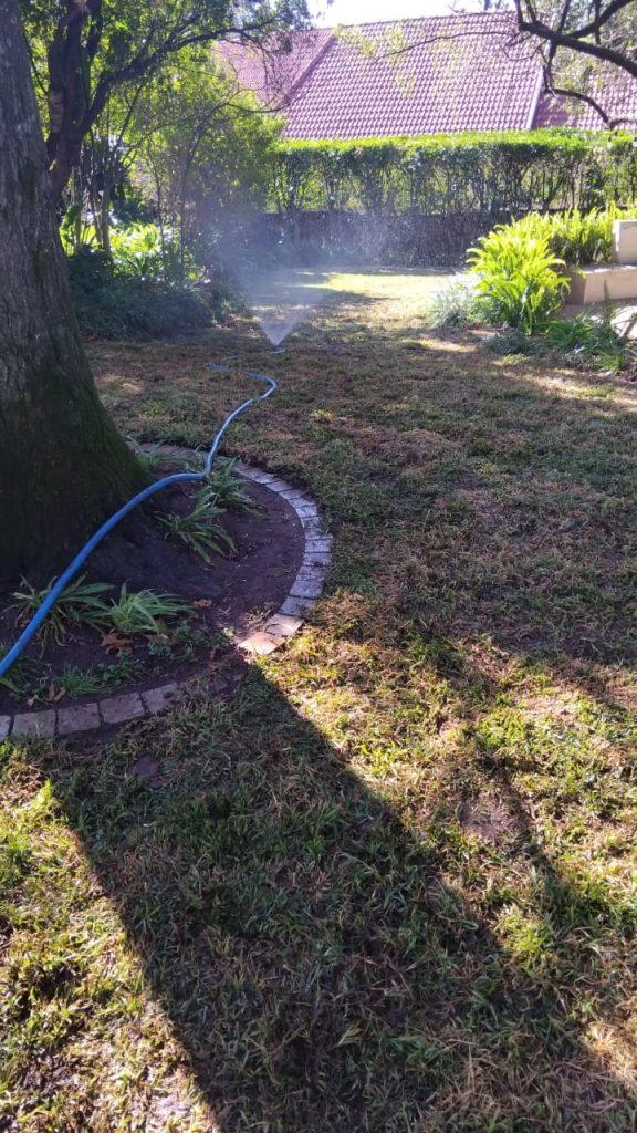 WhatsApp Image 2025-06-30 at 20.08.40