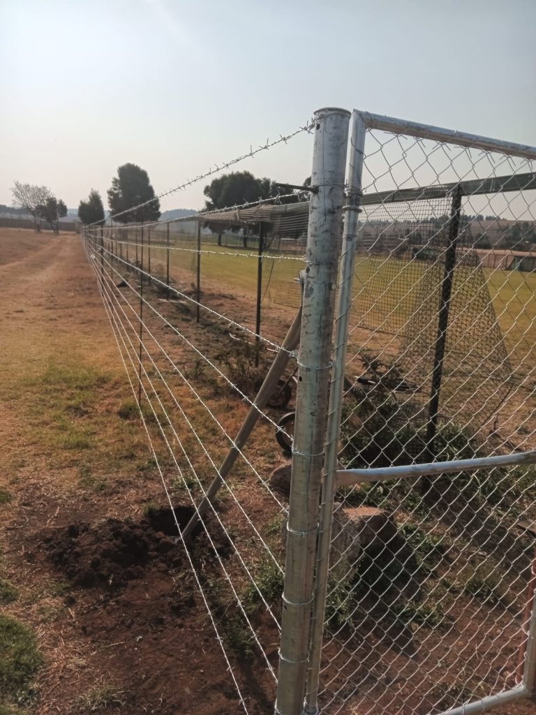 WhatsApp Image 2025-06-30 at 20.24.27