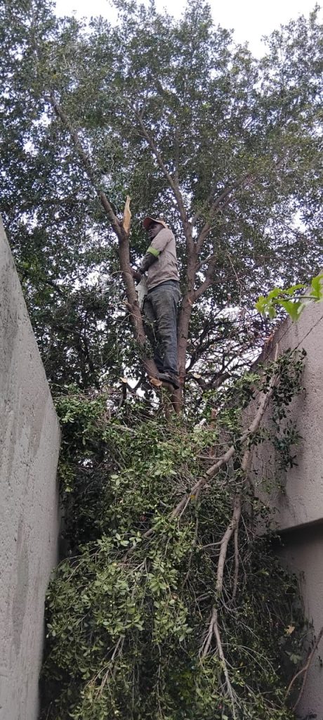 WhatsApp Image 2025-06-30 at 20.44.07