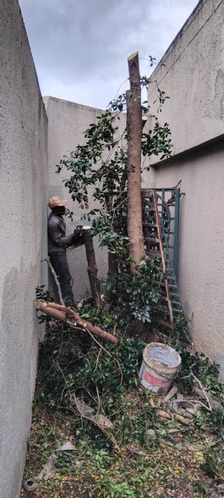 WhatsApp Image 2025-06-30 at 20.44.12