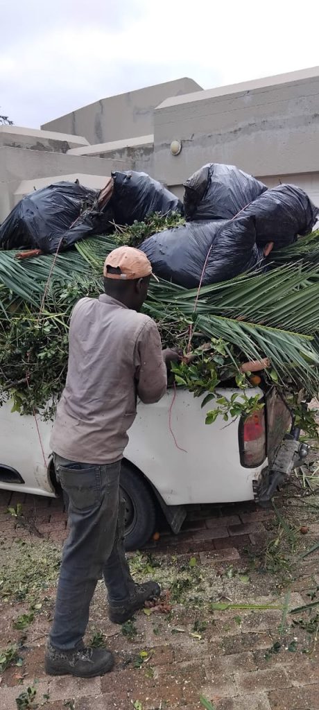 WhatsApp Image 2025-06-30 at 20.44.22